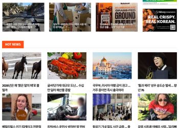 [케이뉴스 1월 1일]