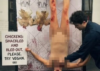 런던 거리에 거꾸로 매달린 여성 ‘경악’