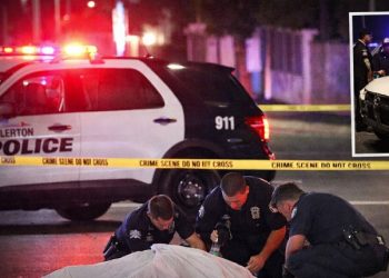 풀러튼 흉기 살해범, 도주 중 뺑소니 사고로 체포