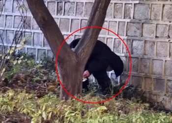 “중국인들 일본서도 대변 테러”