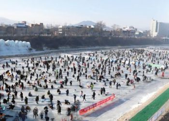 인삼 송어 맨손 잡기, 낚시터…9~25일 ‘홍천강 꽁꽁축제’