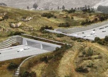 10번Fwy. 야생동물 횡단교 건설 차질 … 폭우·관세 여파 지연