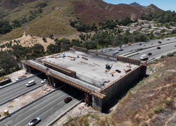 10번Fwy. 야생동물 횡단교 건설 차질 … 폭우·관세 여파 지연