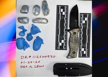 여성가방 훔치려다 도주한 남성, 경찰견에 붙잡혀