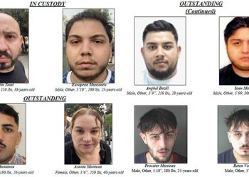 시계·보석 털다 국경 넘어… LA무대 절도단 실체 드러나