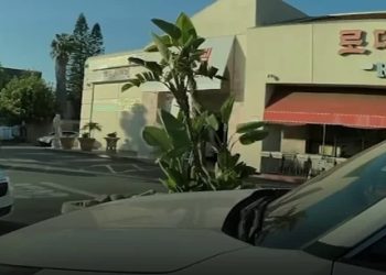 한인타운서 ‘먹잇감 사냥’ …  로데오 갤러리아서 한인여성 노린 날치기