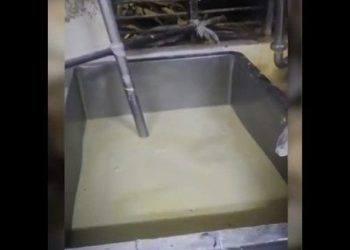 인도서 5년간 유통된 ‘우유’…알고 보니 세제·비료 섞은 ‘가짜’였다