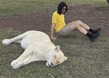 약물 취한 사자와 셀카? 노홍철, 학대 논란 답변