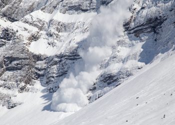북가주 레이크 타호서 눈사태 참변 … 스키어 8명 사망, 1명 실종