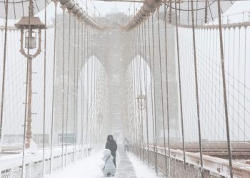 최고 94㎝ 폭설 동부 지역 5700여편 항공편 취소