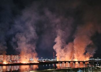 갈대밭 불 지른 50대, 이유보니 “너무 추워서”