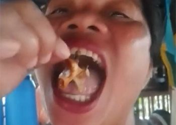 ‘악마게’ 먹방 찍던 유튜버 숨져 … “복어 독의 100배”