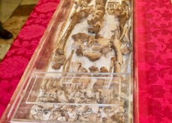 가톨릭 성인 ‘성 프란치스코’ 유해 800년 만에 첫 공개