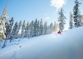 레이크 타호서 스키장서 20대 LA 남성 사망