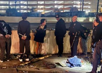 LA 다운타운 윌셔가 노숙자 캠프 급습 … 장물 대거 압수·15명 체포