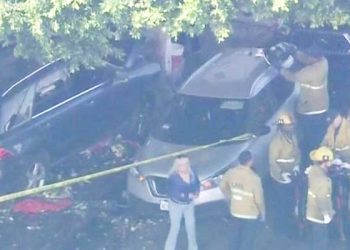 LA 자바시장서 차량 돌진,  6명 부상 날벼락