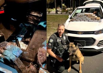 교통단속이 마약 대규모 적발… 차 바닥서 코카인 66파운드