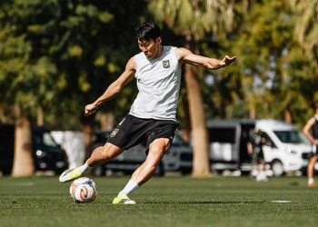 손흥민, 프리시즌 연속 결장 … 시즌 앞두고 부상?