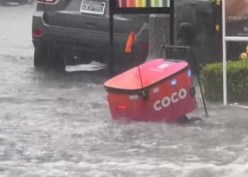 [화제] LA 폭우 속 음식배달 로봇도 고군분투