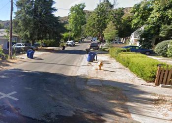 차량 탈취 실패하자 흉기 난동 … 10살 소녀와 할아버지 피습