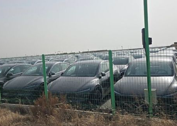 “테슬라 수천여대 평택항에 갇혀 있다.”