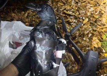 드론 타고 날아온 ‘까마귀’ …교도소 밀반입 조직 덜미