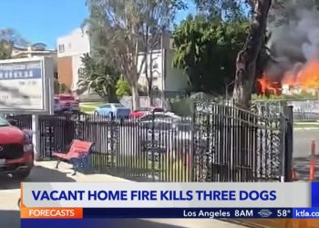 [단독] 한인 교회 옆 빈집 노숙자캠프 큰 화재 … 목사 주택 전소