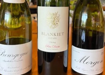 [제임스 김 와인스토리] 봄 피크닉을 위한 와인 셀렉션