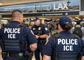 개빈 뉴섬, 공항서 ICE 지원 언급에 “권리 숙지해야” 당부