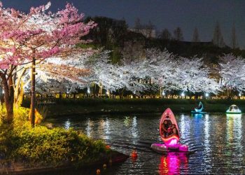 낮엔 설레고 밤엔 취한다 … 여기는 어디?