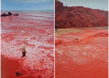 하늘에서 붉은 비가…유럽 덮친 ‘블러드 레인’