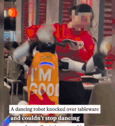 [화제] 산호세 유명 중식당서 로봇이 접시 던지며 난동(영상)