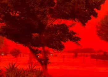 “붉게 변했다” … 사이클론 앞둔 호주 “하늘 기이한 공포”