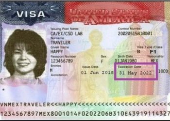 미 유학생 비자 발급 36% 급감 … 유학 수요 흔들