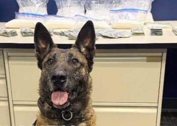 코스타메사 마약 소탕전… 케타민 20파운드·현금 10만 달러 압수