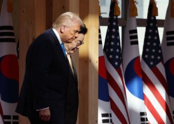 트럼프, “호르무즈 안정, 한국·일본·유럽이 하게 하자”