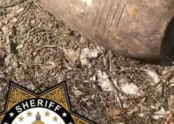 가정집 마당서 70년 된 박격포탄…8살 아이 발견 ‘주민 대피’