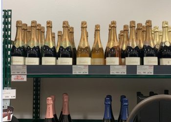 [제임스 김 와인스토리] 여름 와인, 가격대별 추천 가이드