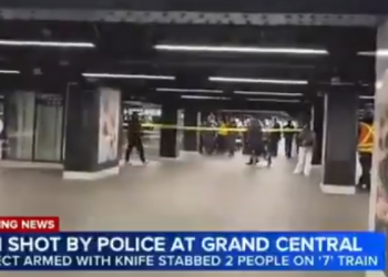 뉴욕 지하철서 ‘마체테’ 난동범 현장 사살 … 노인 3명 중상