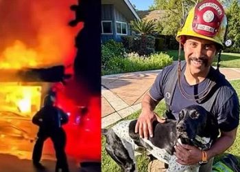 반려견이 가족 구했다… “계속 짖더니 집 살렸다”