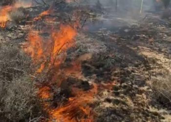 강풍 타고 번진 ‘스카이라인 산불’ … 유카밸리 주택 4채 전소