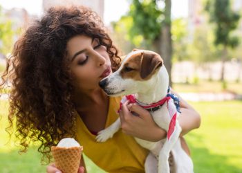 강아지 입 냄새 맡으면 시간당 1000달러?