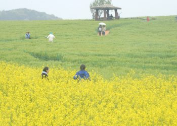 “이번 역은 갯벌·청보리밭”…5월 고창행 기차 여행