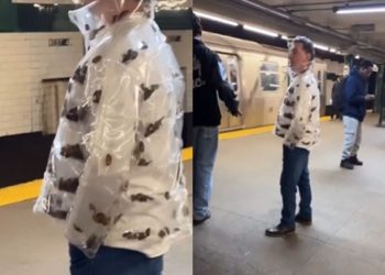 [이런일도] 뉴욕 흔든 ‘바퀴벌레 패딩’의 진실