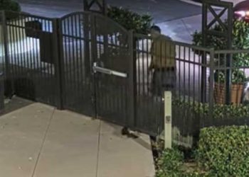 코요테 서식지에 강아지 버리고 도주 … OC ‘충격적 유기 사건’(영상)