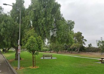 부활절 달걀찾기 중 ‘인간 두개골’ 발견… 공원 일대 공포