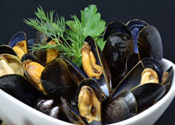 캘리포니아 ‘홍합 채취-섭취 금지’ … “마비·기억상실 위험”