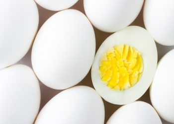 알츠하이머병 예방법은 달걀 섭취? … 로마린다대 연구진