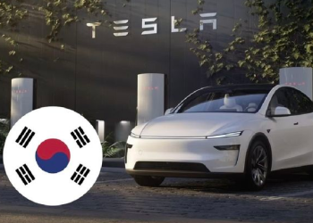 테슬라 모델Y 한국 전체판매량 1위 … 한국 자동차 역사상 최초