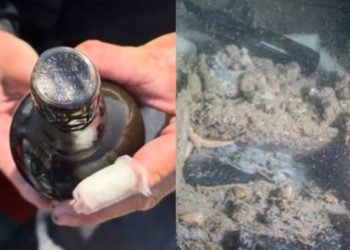 “162년 된 기네스 맥주, 아직 마실 수 있을까?”